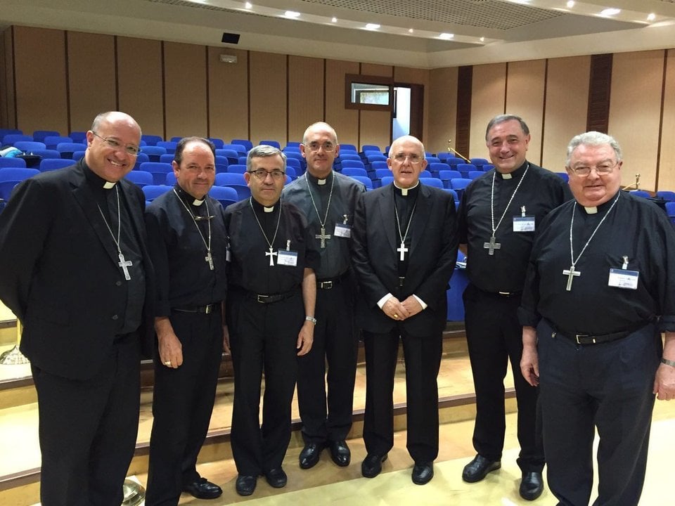 La foto de los obispos españoles en Roma que ha publicado Monseñor Luis Ángel de las Heras. 