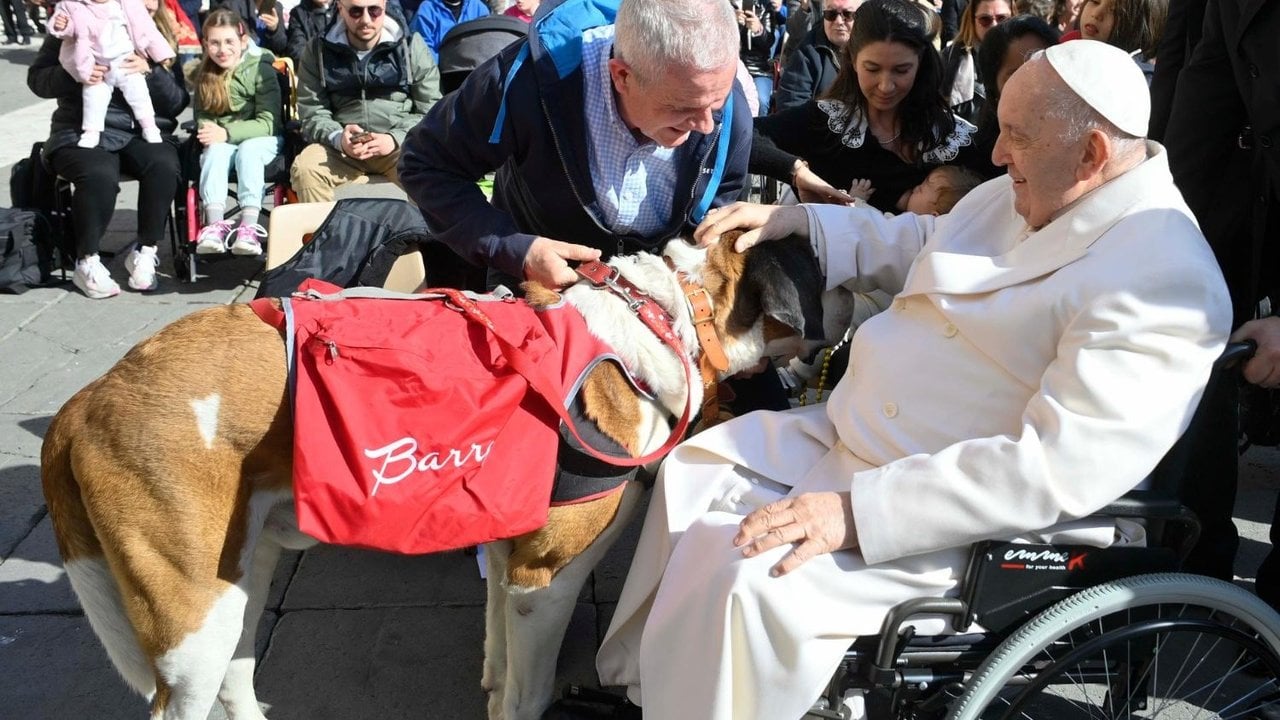 El perro Magnum saluda al Papa Francisco en la audiencia del 29 de marzo. 
