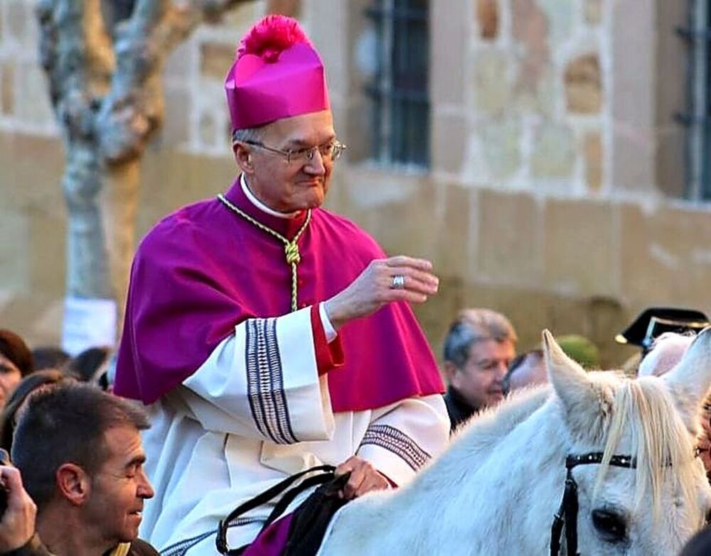 El nuevo obispo de Sigüenza-Guadalajara cumplió con la tradición y entró en la ciudad a lomos de una yegua blanca, de nombre ‘Ginebra’. Foto cedida por el Obispado.